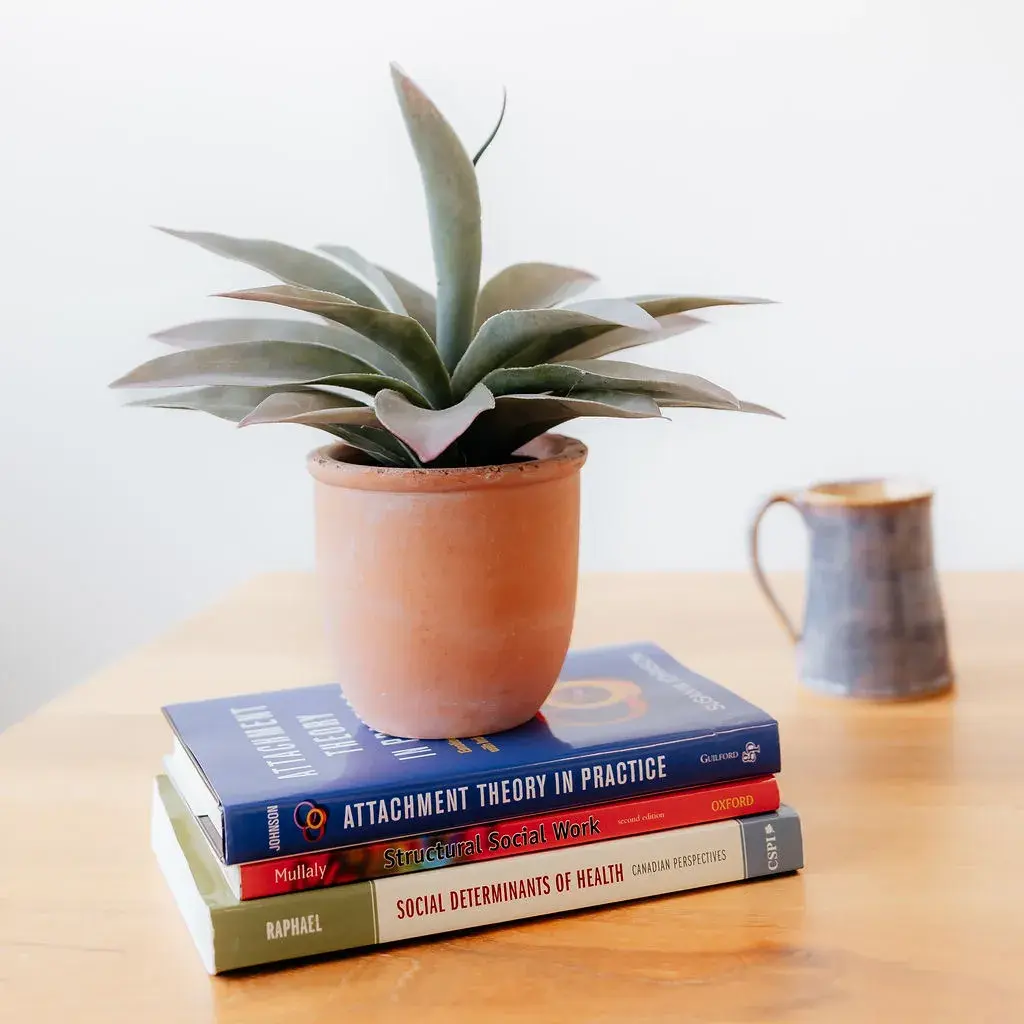 A potted plant on a stack of three books about attachment theory, social work and health, beside a ceramic mug