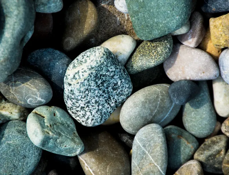 ADHD and Neurodivergence