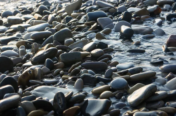 Serene background for clinical services